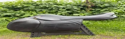 Sadlar hästutrustning till salu: Santa Cruz merina 17,5” - Annons 1