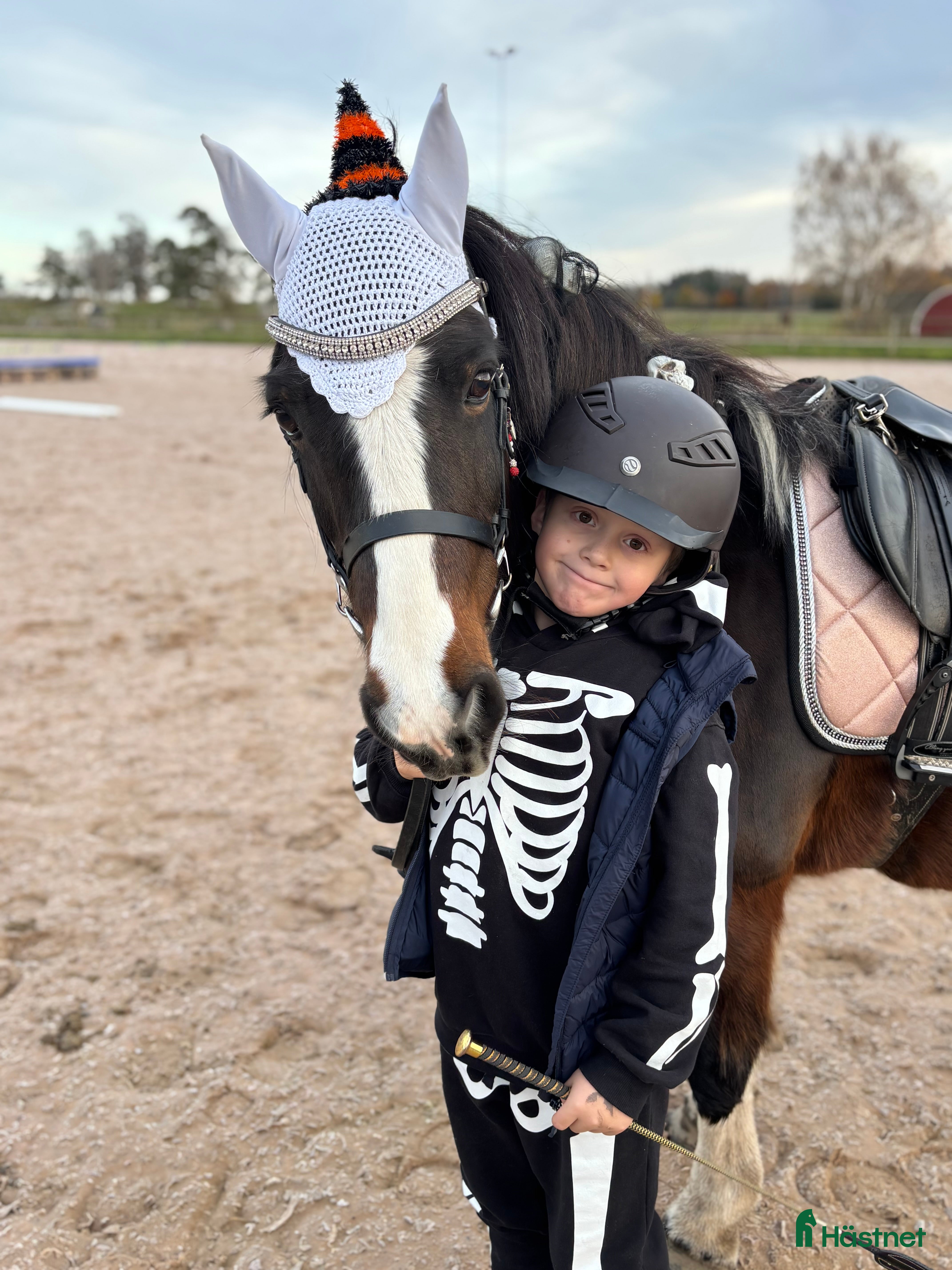  hästar Snäll B- eller C-ponny sökes  i Mjölby - Annons 17