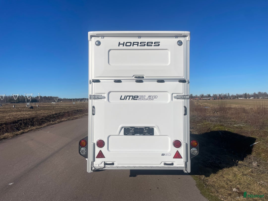 Hästtransporter  fordon & transport till salu: UME B50 - Omgående leverans! i Borlänge - Annons 5