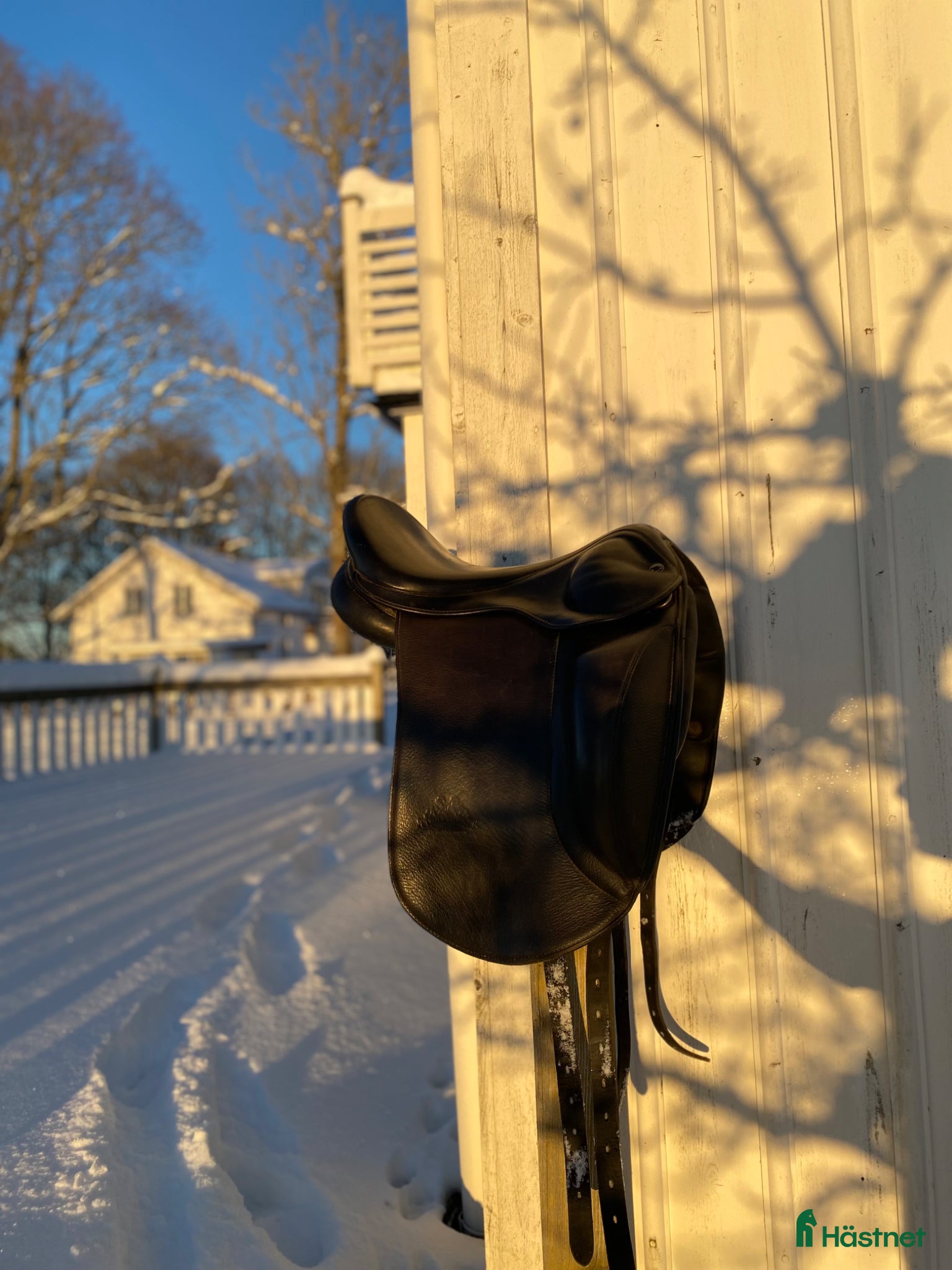 Sadlar hästutrustning Fin Islandshästsadel från Tøltreider  - Annons 11