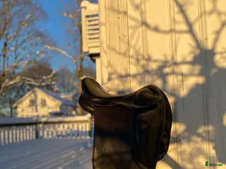 Sadlar hästutrustning Fin Islandshästsadel från Tøltreider - Annons 11