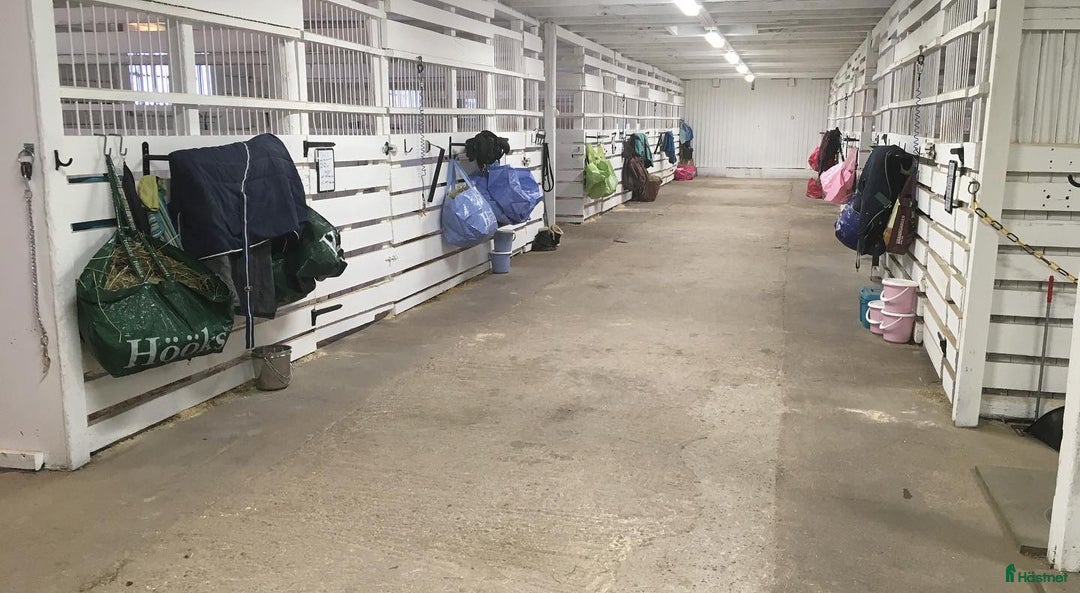  stallplats finnes: Stallplats för inackordering, Norrköping-Åby i Åby - Annons 2