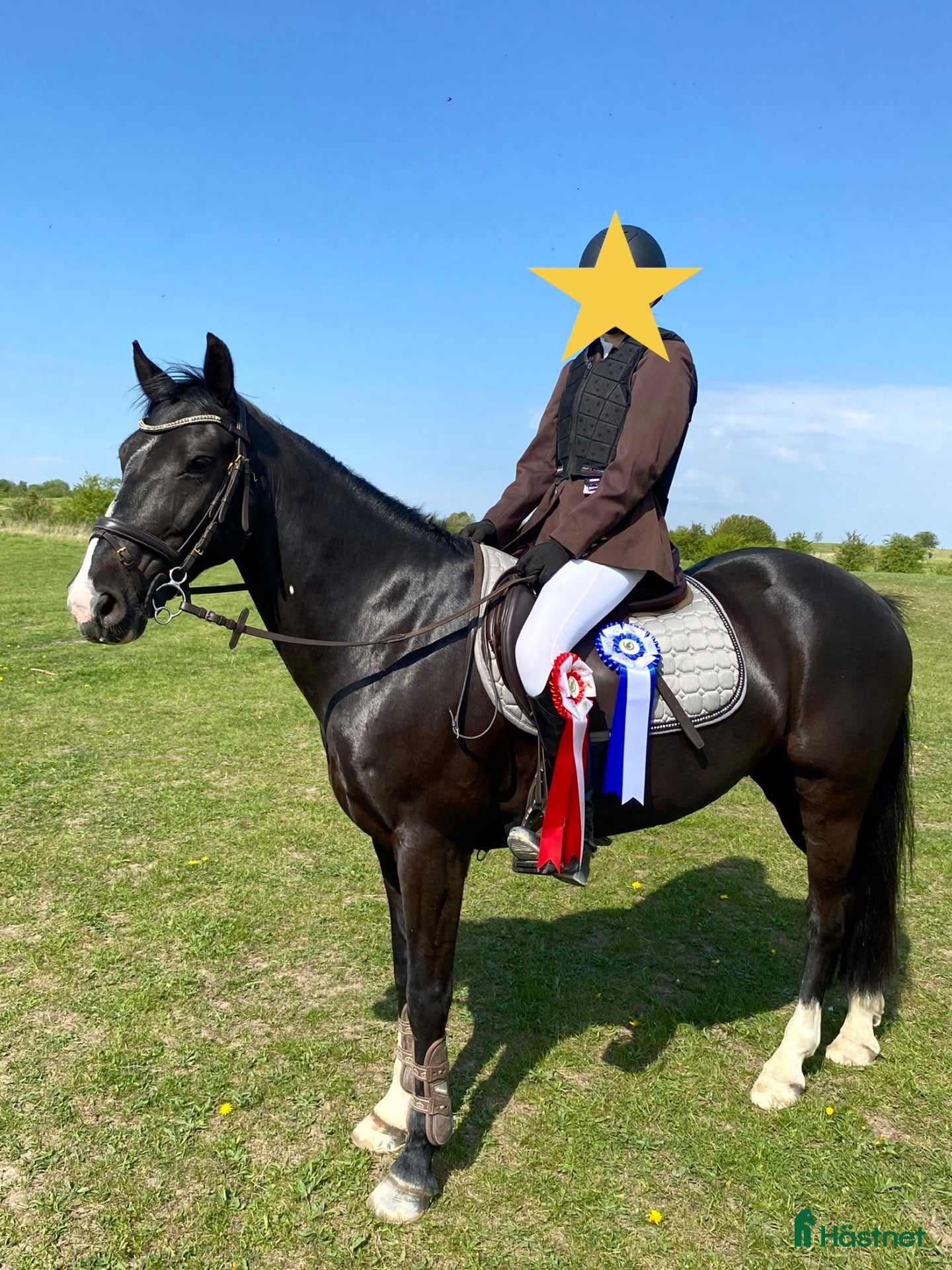  hästar En dröm i svart kostym 🖤 - Annons 2