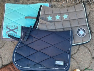 Schabrak & Vojlockar hästutrustning till salu: Eskadron, Scapa, John Whitaker schabrak i Malmö - Annons 20