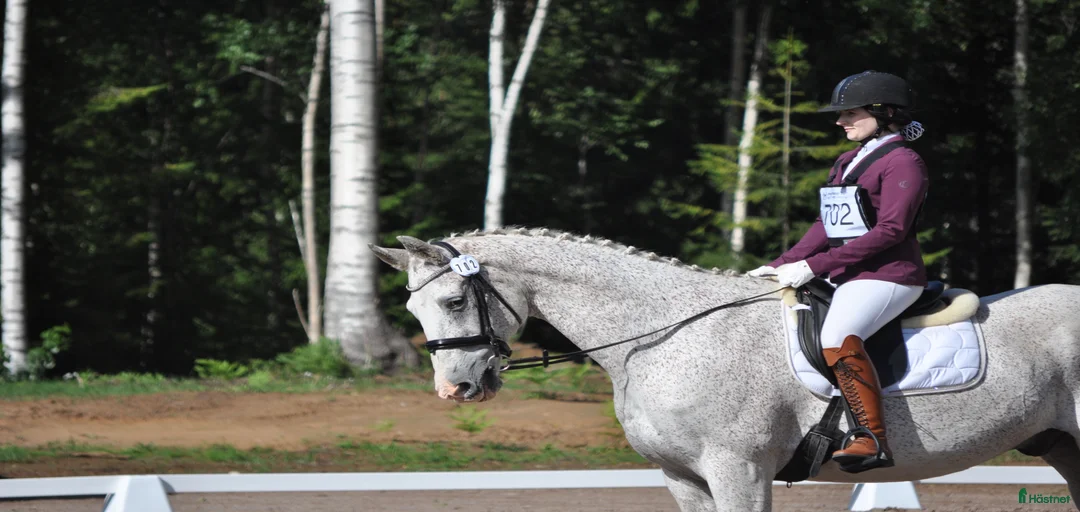 Galleribild {{count}}