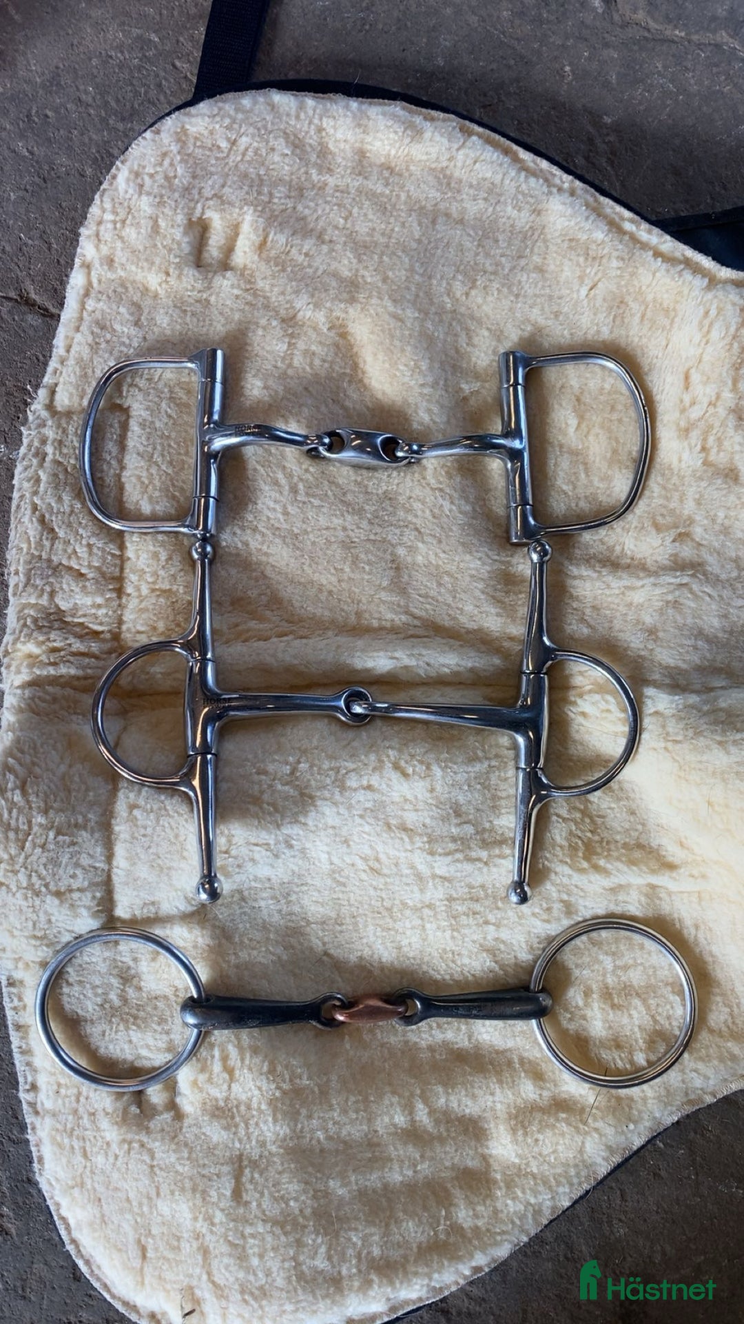 Övrig Hästutrustning hästutrustning till salu: Bett, Paddar, martingallplatta i Vinninga - Annons 1