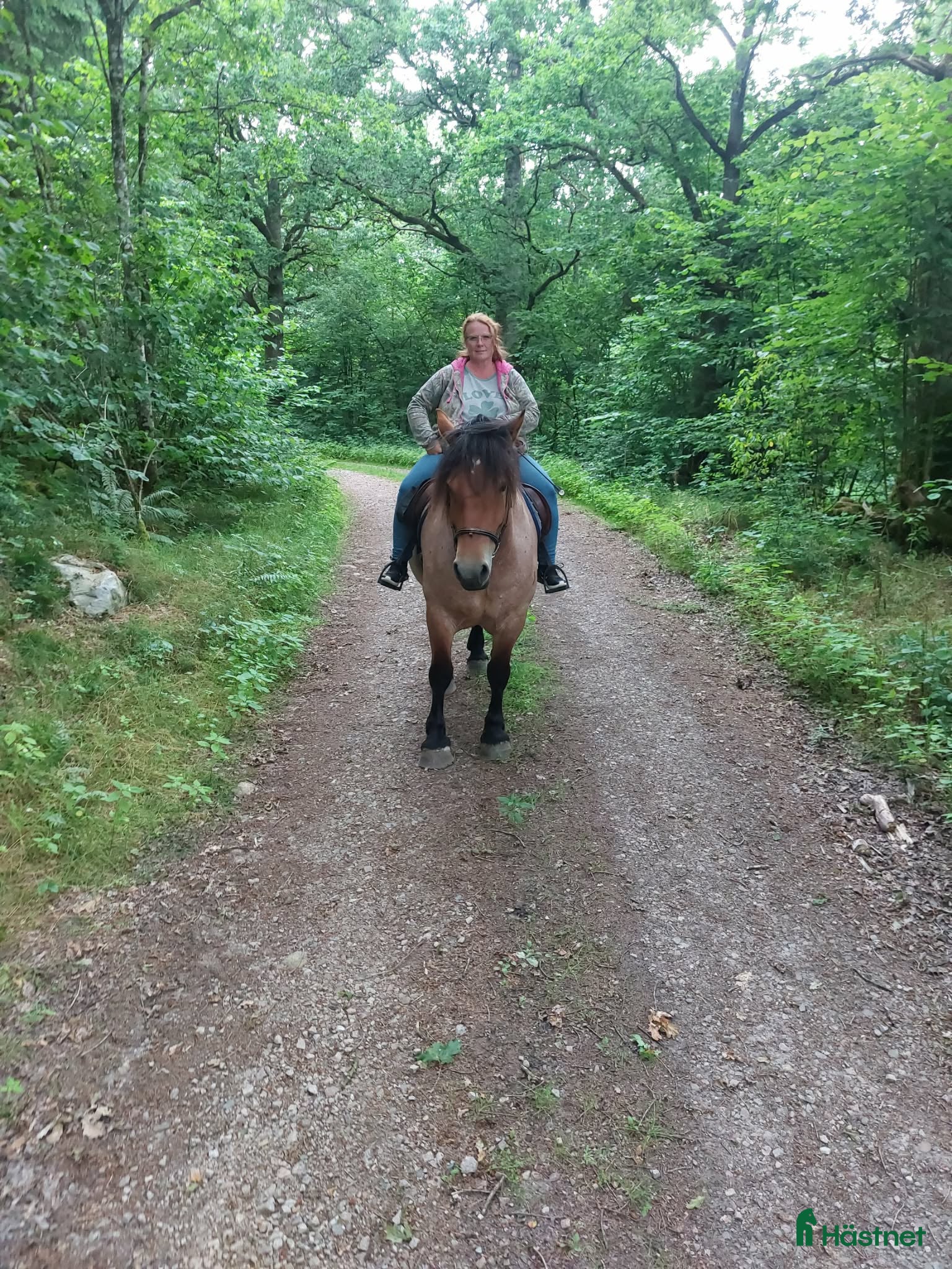  hästar Ardenner mare i Brösarp - Annons 4