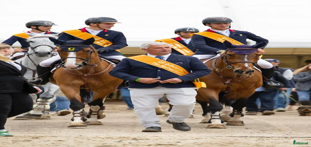 Galleribild {{count}}