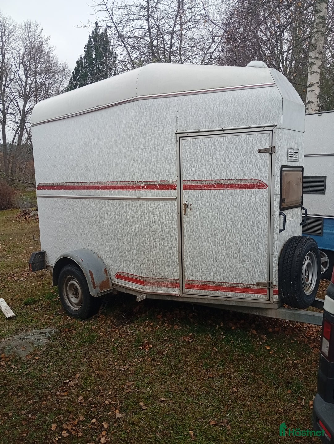 Hästtransporter  fordon & transport till salu: Hästtransport i Linköping - Annons 2