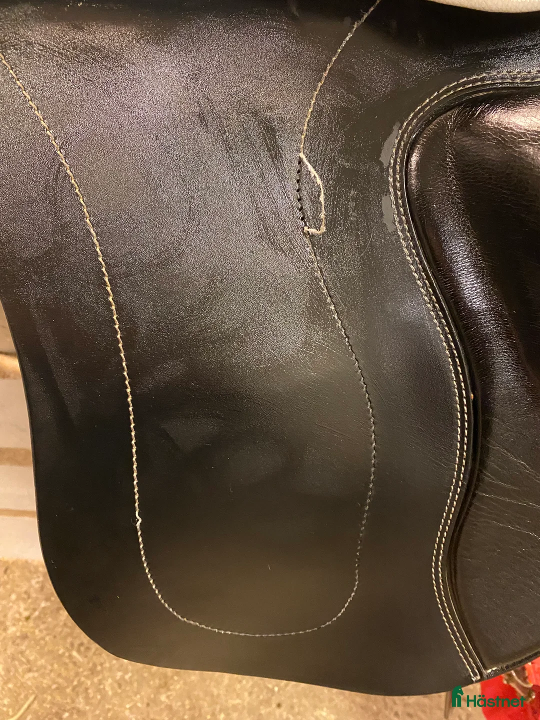 Sadlar hästutrustning till salu: Taur gaiter III i Färila - Annons 7