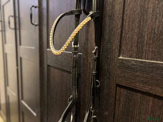 Träns hästutrustning till salu: Fint micklemträns i Tyresö - Annons 3