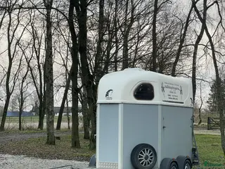 Hästtransporter fordon & transport till salu: Cheval Liberte XL, hästtransport, platta för vagn i Hurva - Annons 1