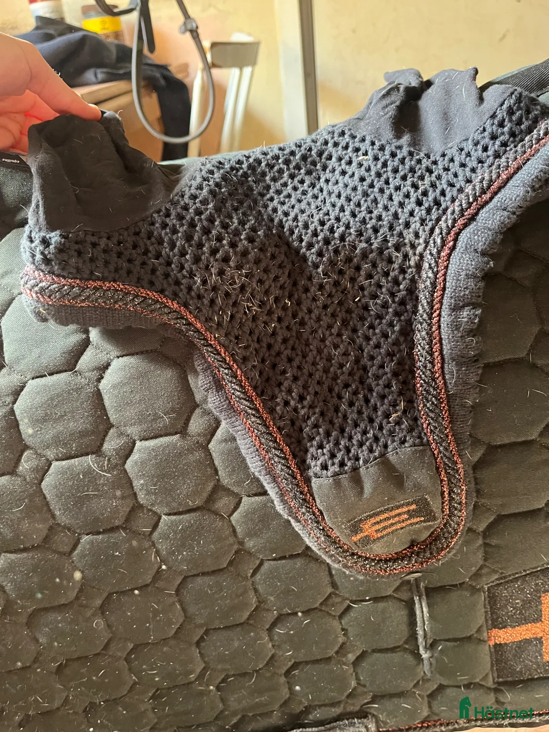 Schabrak & Vojlockar hästutrustning till salu: equiline - Annons 2