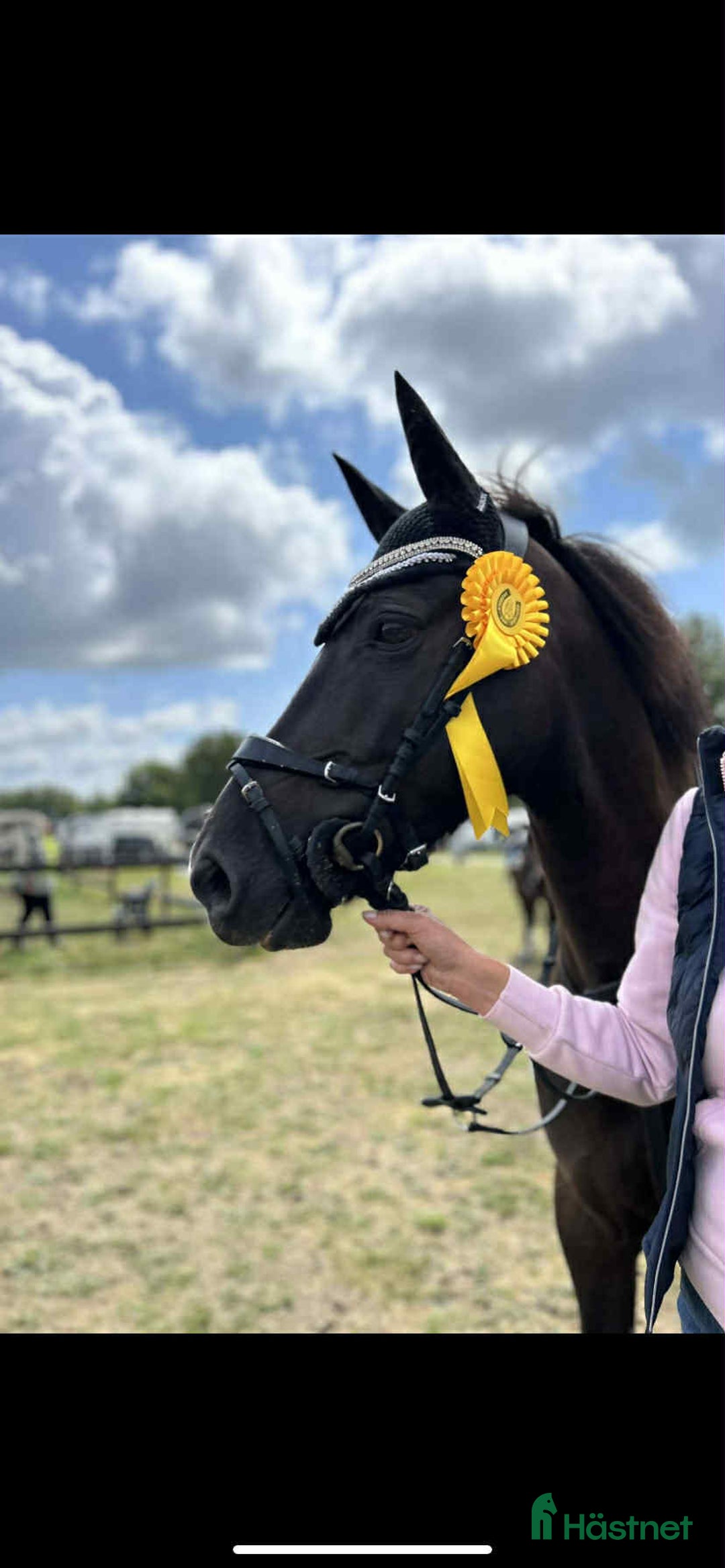Allround hästar till salu: Trevlig & trygg ponny  i Eldsberga - Annons 2
