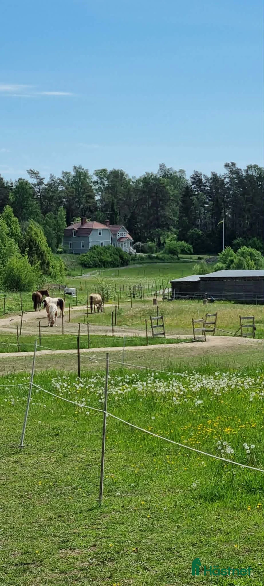  stallplats finnes: Lösdrift med blandflock i Södertälje - Annons 2