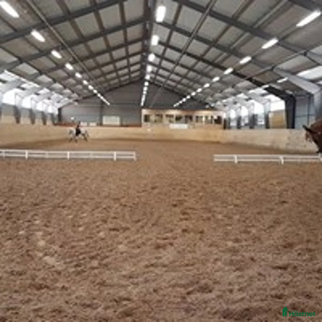 Övrig utrustning övrig utrustning till salu: 🐎 Fiberunderlag säljes 🐎 i Olofström - Annons 1