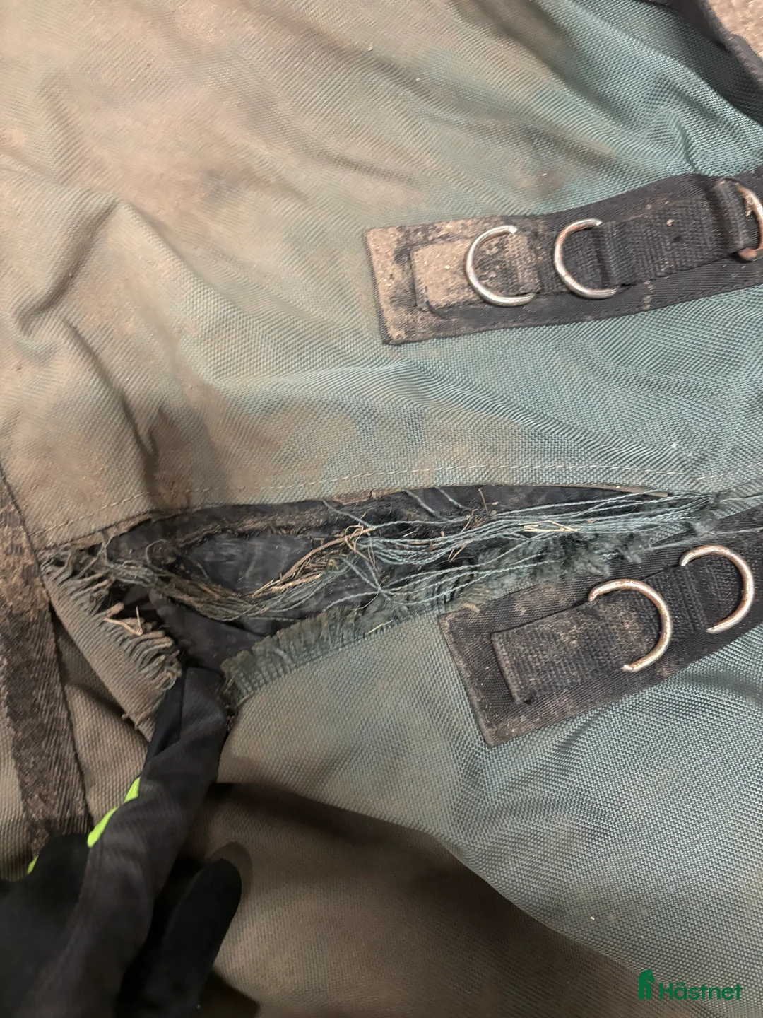 Täcken hästutrustning till salu: Ute täcke 165 - Annons 14