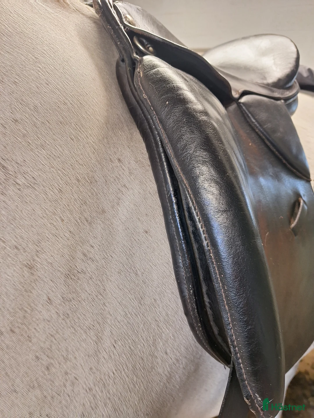 Sadlar hästutrustning till salu: Dressyrsadel till salu i Sturkö - Annons 9