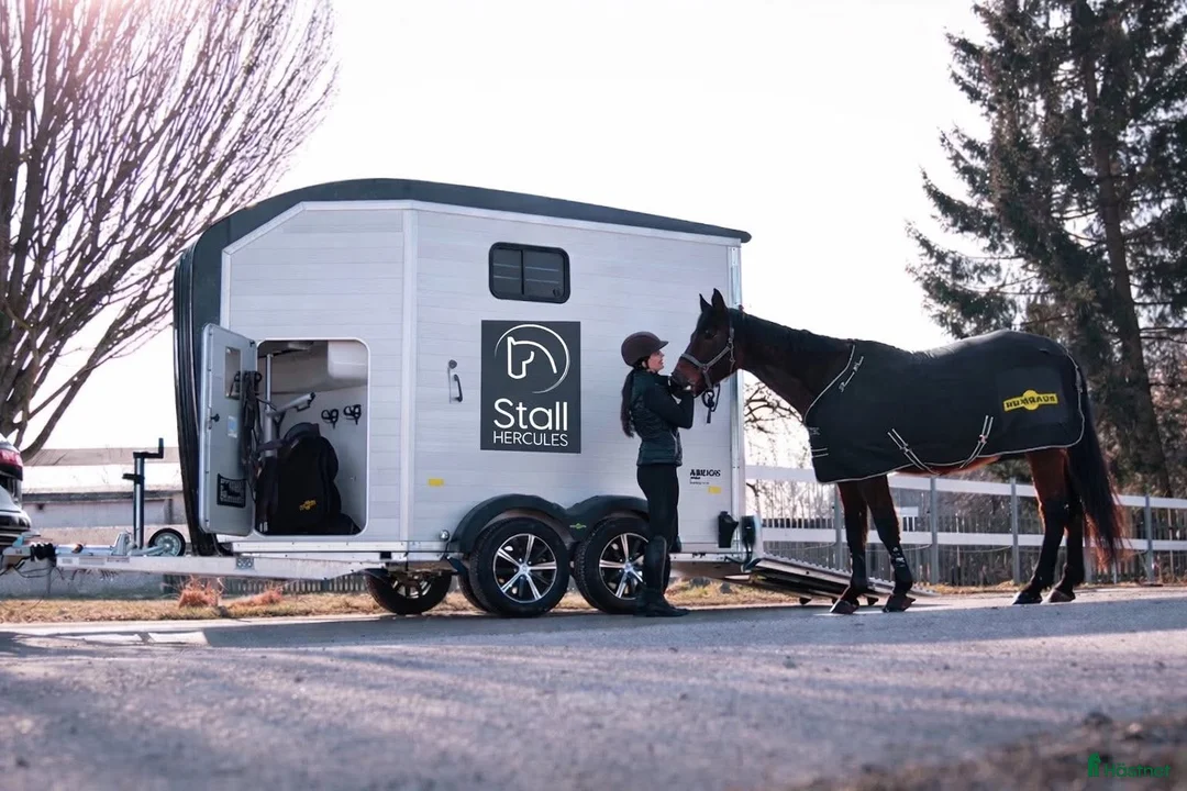 Hästtransporter  fordon & transport till salu: Humbaur Aerion Pure - Annons 1