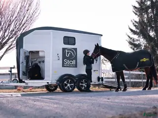 Hästtransporter fordon & transport till salu: Humbaur Aerion Pure - Annons 2