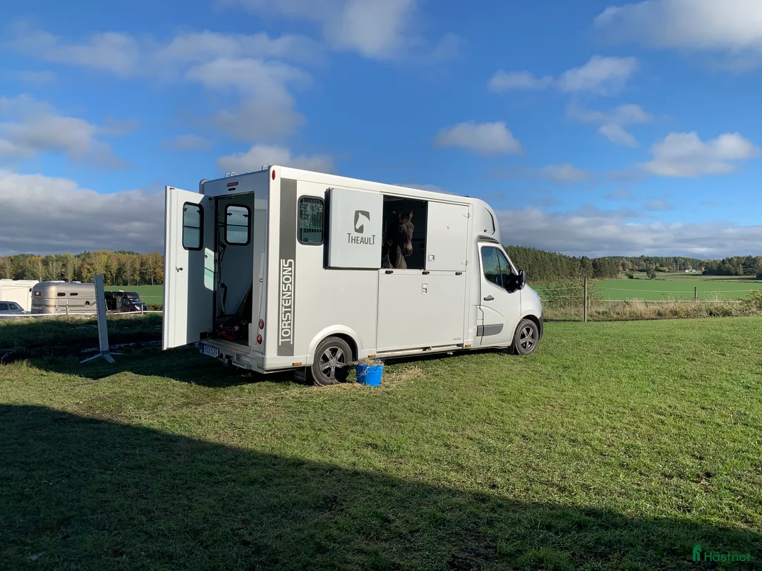 Hästlastbilar  fordon & transport till salu: Renault Theault Proteo 3-sits från Thorstensons i Bromma - Annons 1