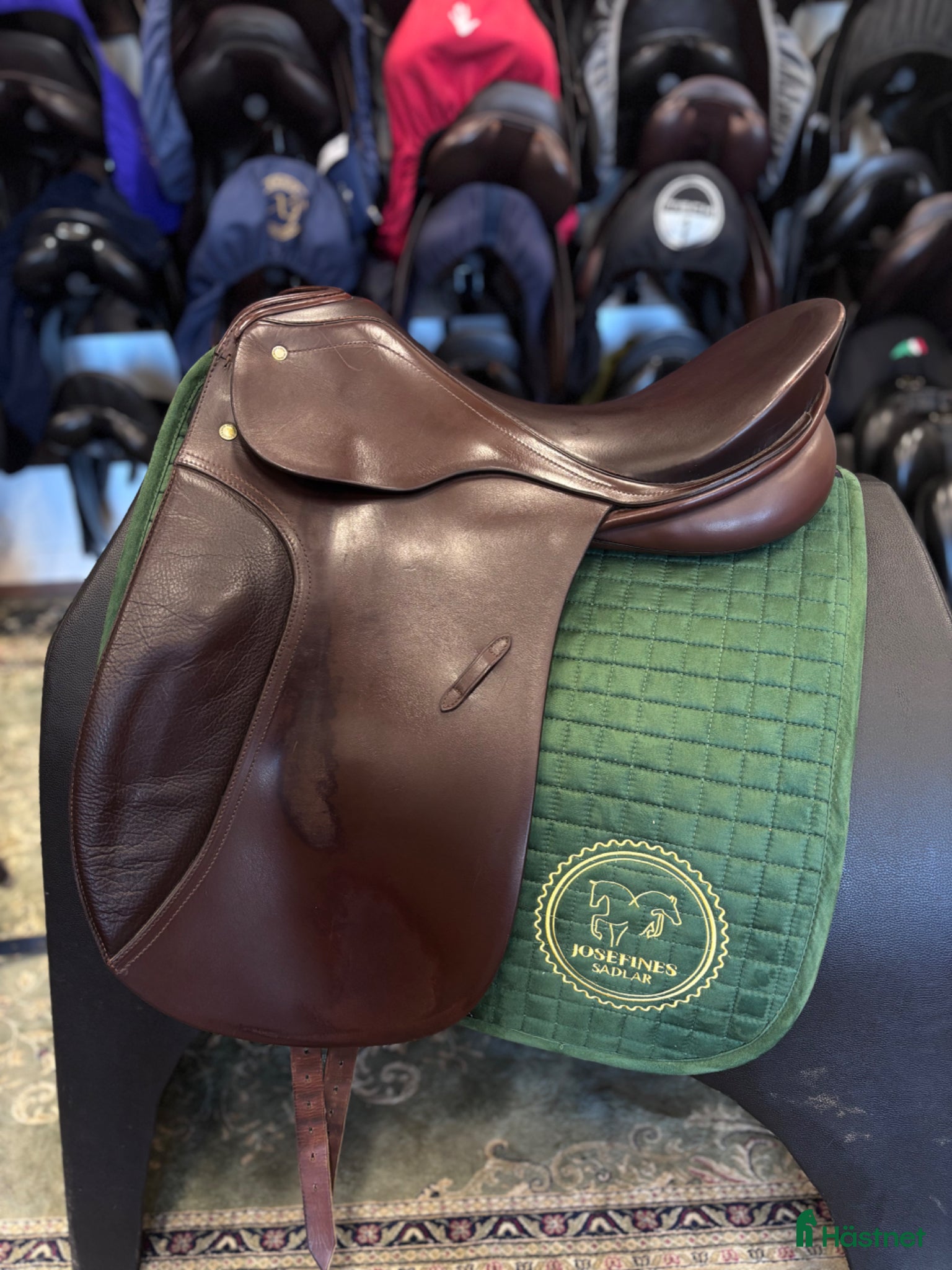 Sadlar hästutrustning Passier Lenox  - Annons 8