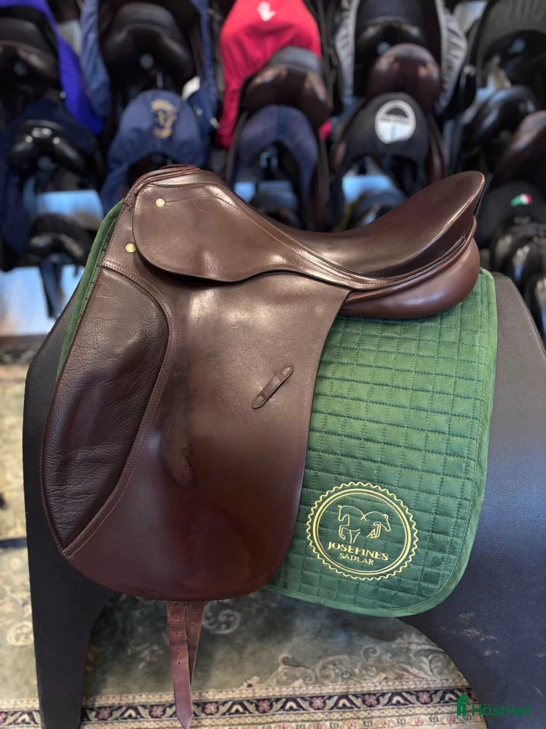 Sadlar hästutrustning till salu: Passier Lenox  - Annons 1