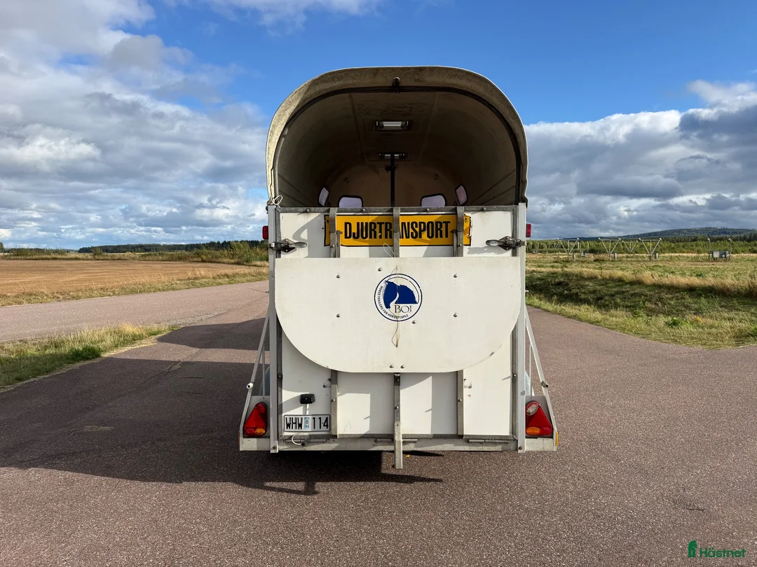 Hästtransporter  fordon & transport till salu: Boj 200S -08 - Fint skick! - Annons 5