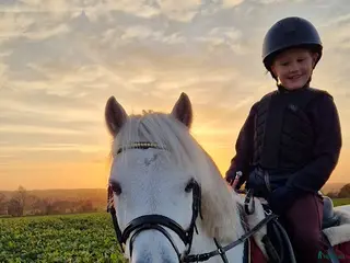 hästar Har ni våran bästa vän? i Löberöd - Annons 10