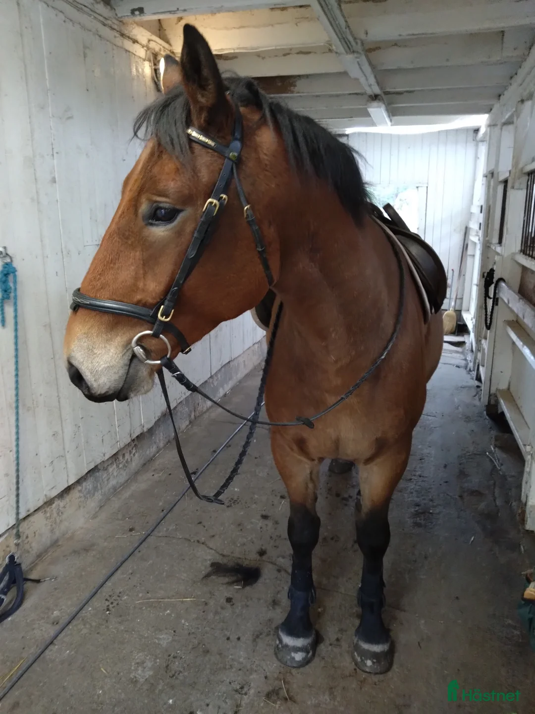 Galleribild {{count}}