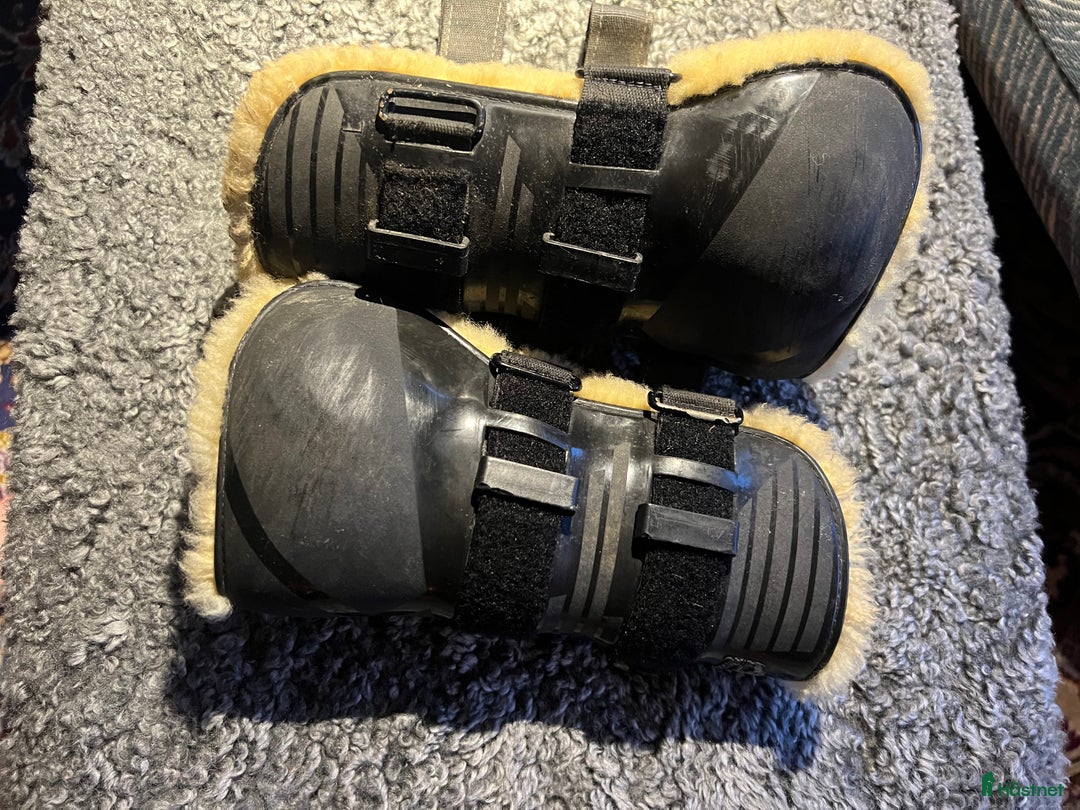 Benskydd hästutrustning till salu: Veredus Grand Prix i Västerås - Annons 3