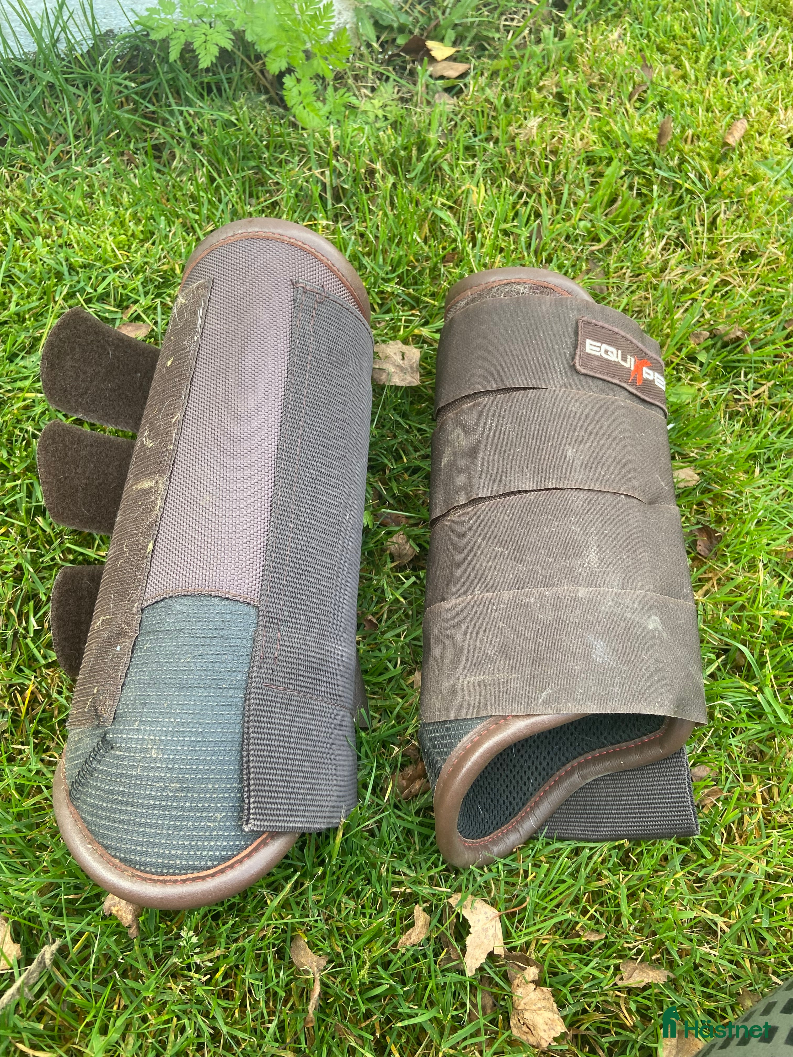 Benskydd hästutrustning till salu: Olika benskydd - Annons 9