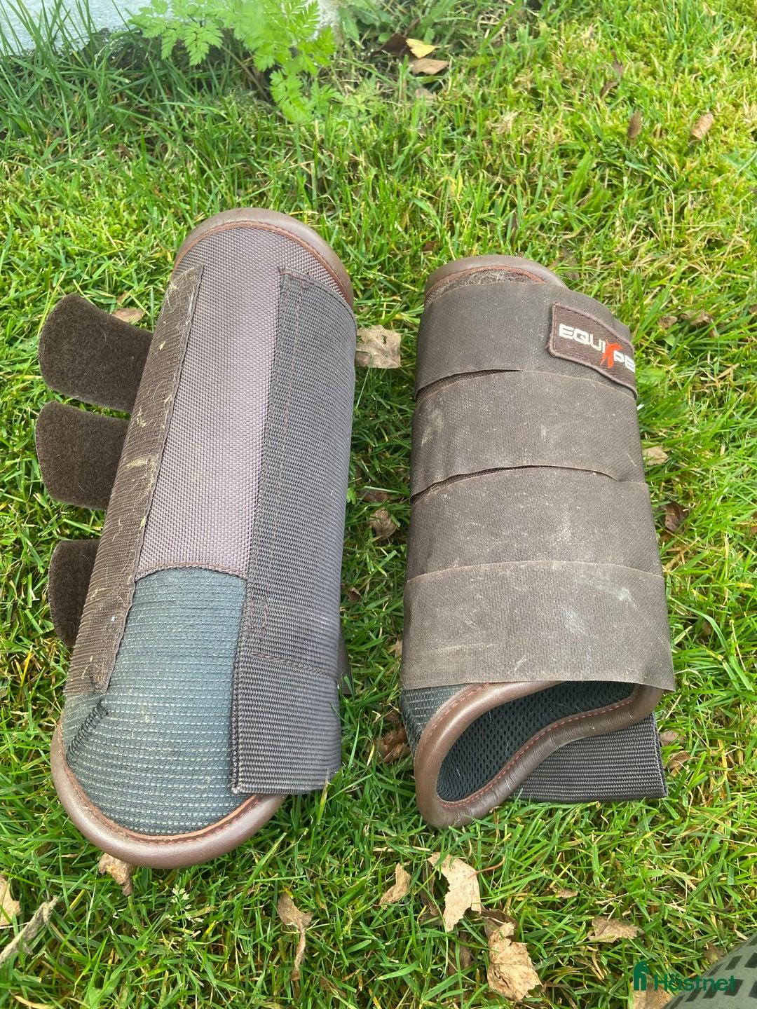 Benskydd hästutrustning till salu: Olika benskydd i Skövde - Annons 1