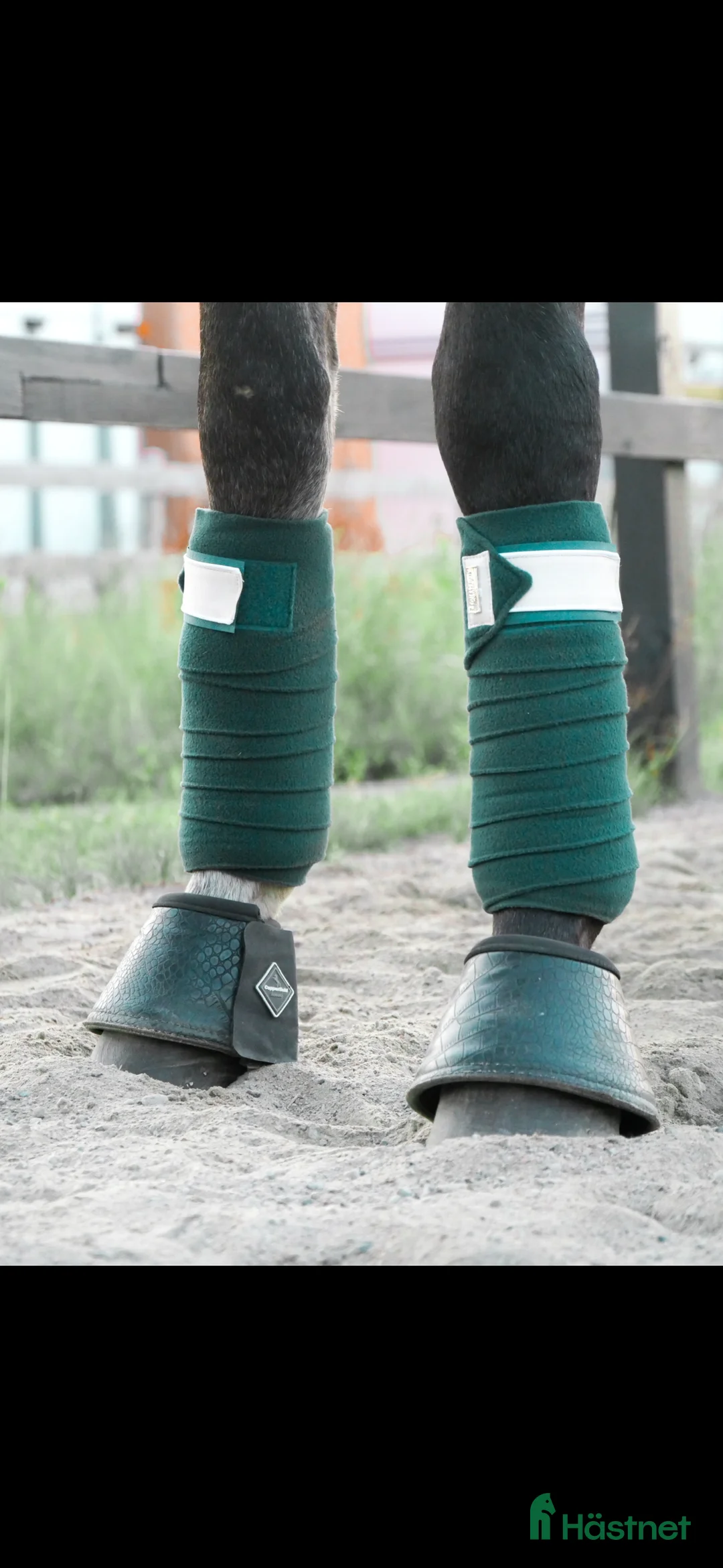 Schabrak & Vojlockar hästutrustning till salu: Schabrak + 4 benlindor - Annons 3