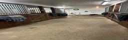  stallplats finnes: Lösdriftsplatser med helinackordering  - Annons 8