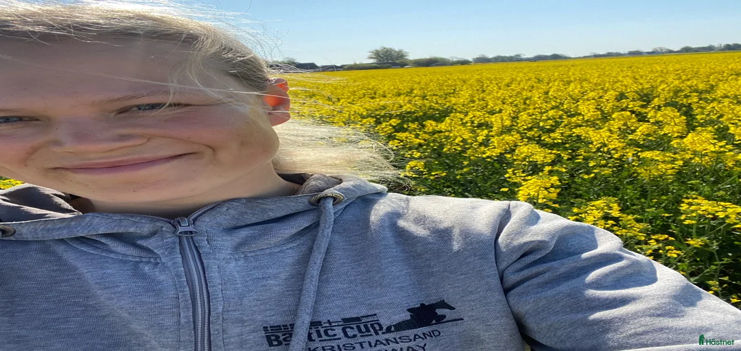 Galleribild {{count}}