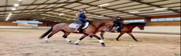  stallplats finnes: Sjövillans gård, stallet vid Mälarens strand! - Annons 6