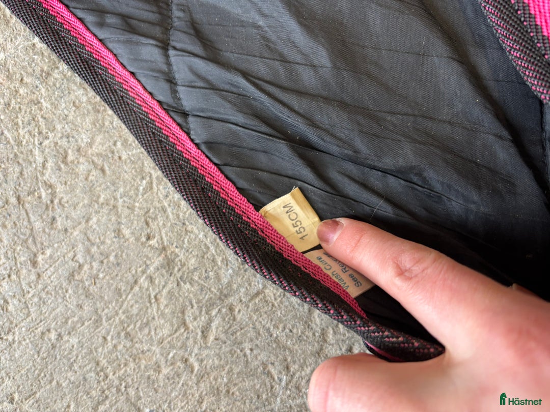 Täcken hästutrustning till salu: Gulligt termotäcke i Brottby - Annons 2