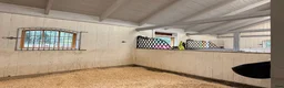 Allround hästar sökes: Sto till livslångt femstjärnigt hem! i Nyköping - Annons 3