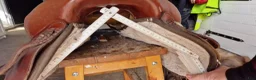 Sadlar hästutrustning till salu: Fabtron arabian - Annons 6