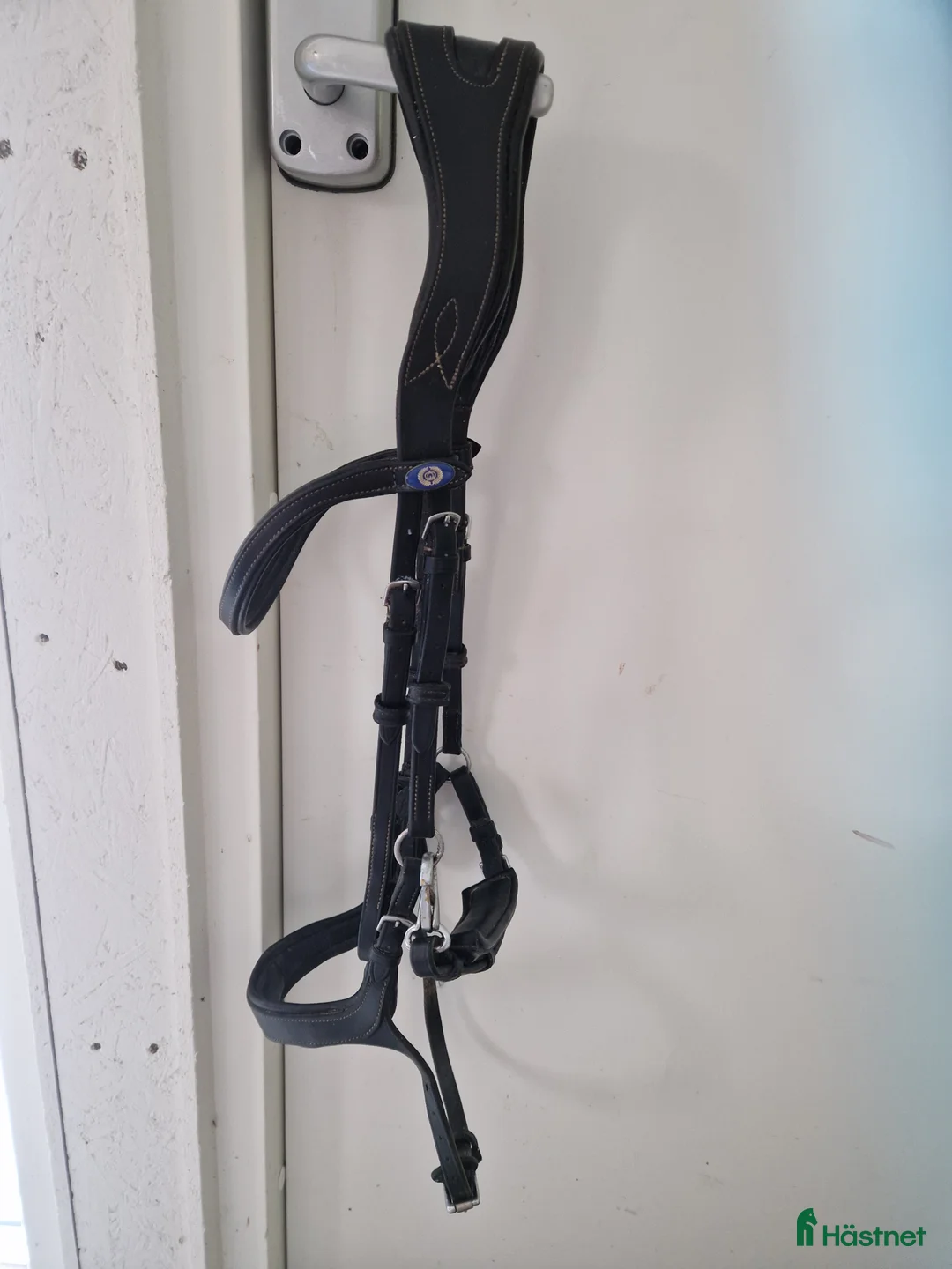 Träns hästutrustning till salu: PS Pioneer stl full  i Jönköping - Annons 2