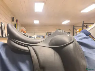 Sadlar hästutrustning Childeric DSC i Strömstad - Annons 5