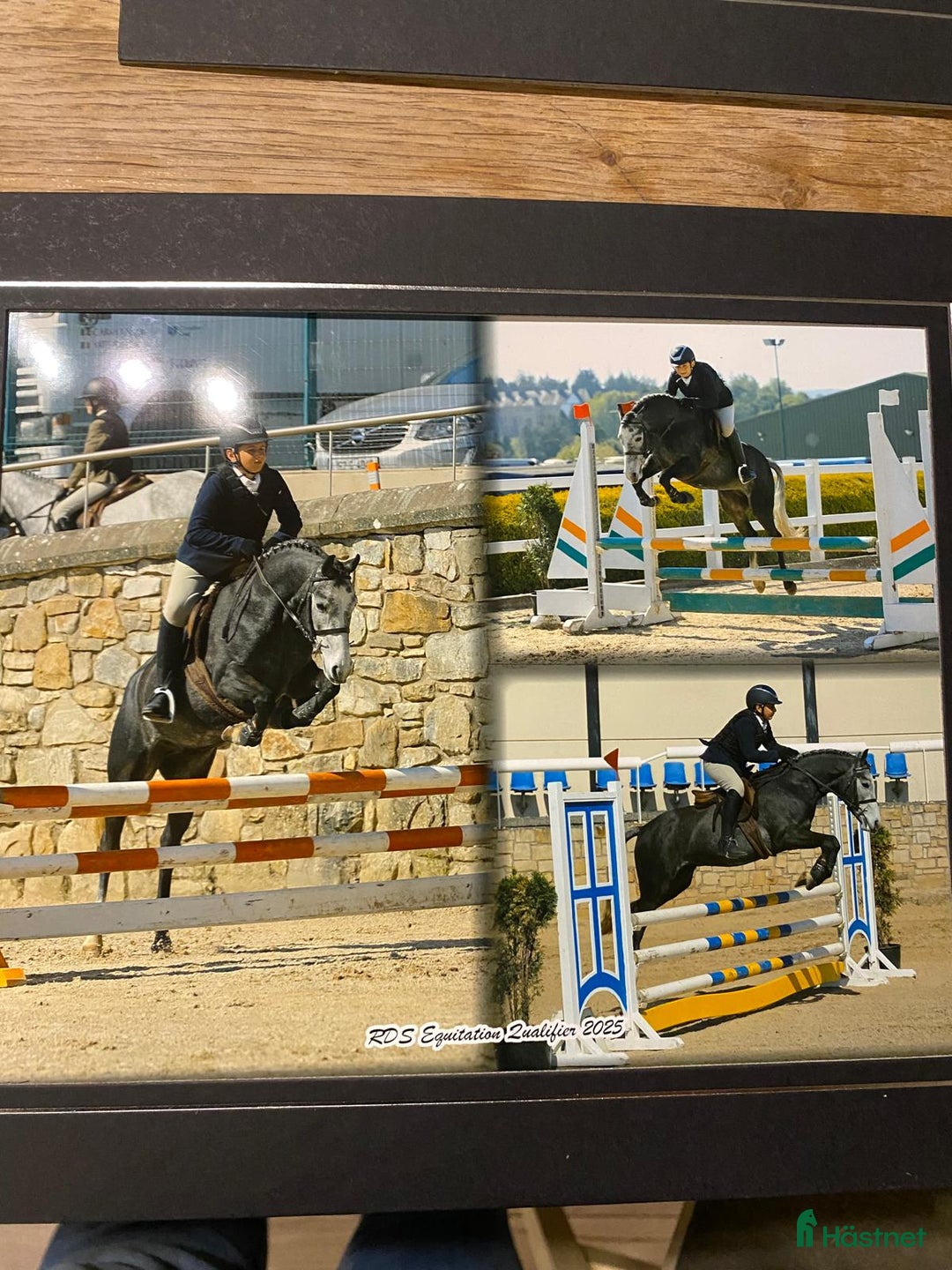 Hoppning hästar till salu: Ungponny SM 2026 i Ängelholm - Annons 4