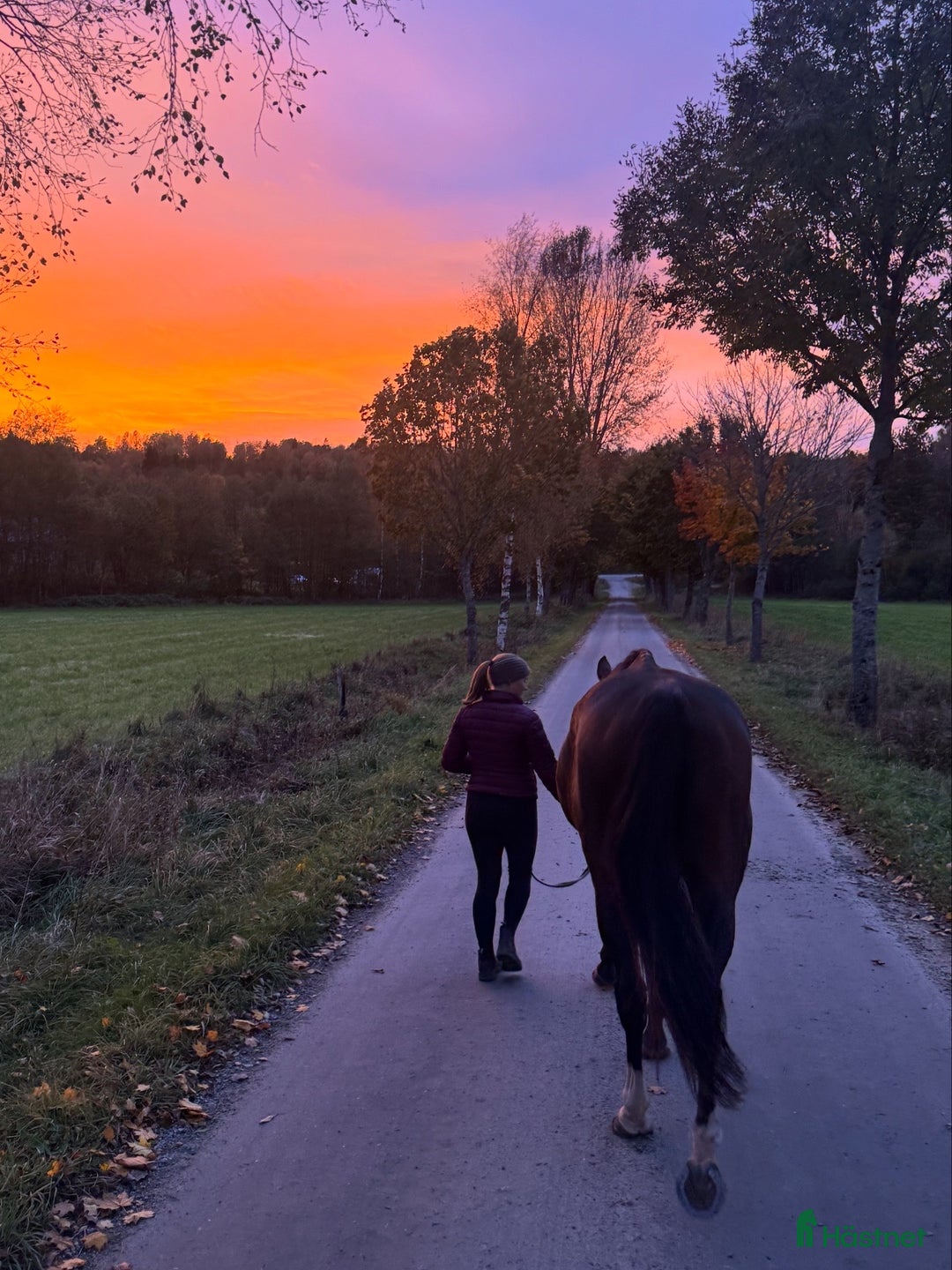 Galleribild {{count}}