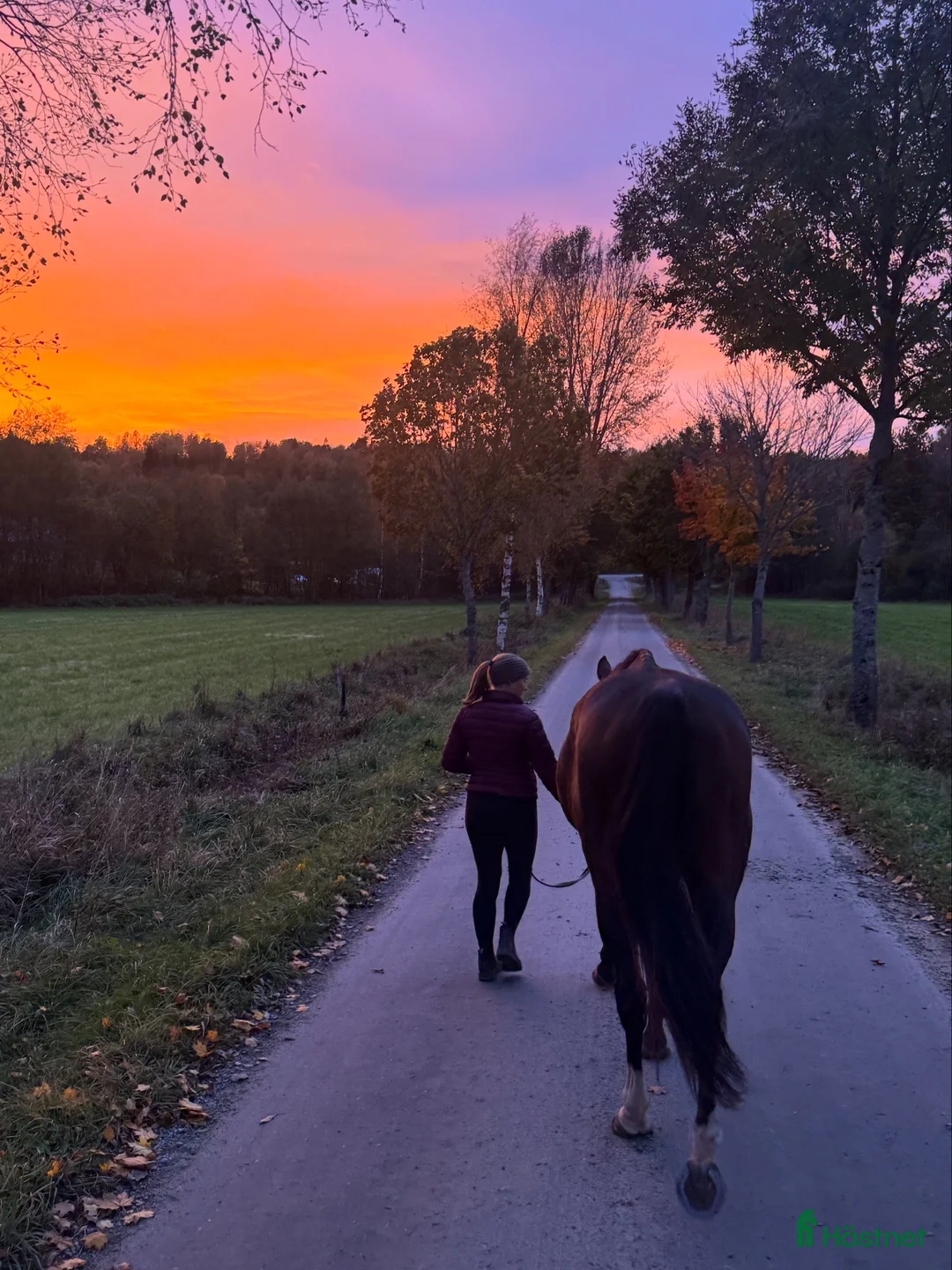 Galleribild {{count}}