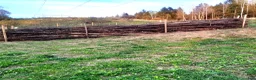 stallplats finnes: Lösdrift-valackflock - Annons 17