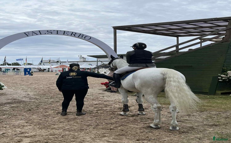  hästjobb i Ljungbyhed - Annons 11