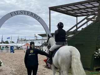 hästjobb Behöver du hjälp med din häst? i Ljungbyhed - Annons 17