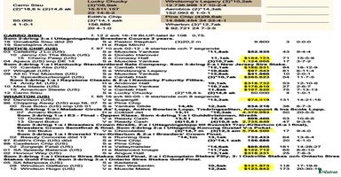  hästar i Lindome - Annons 6