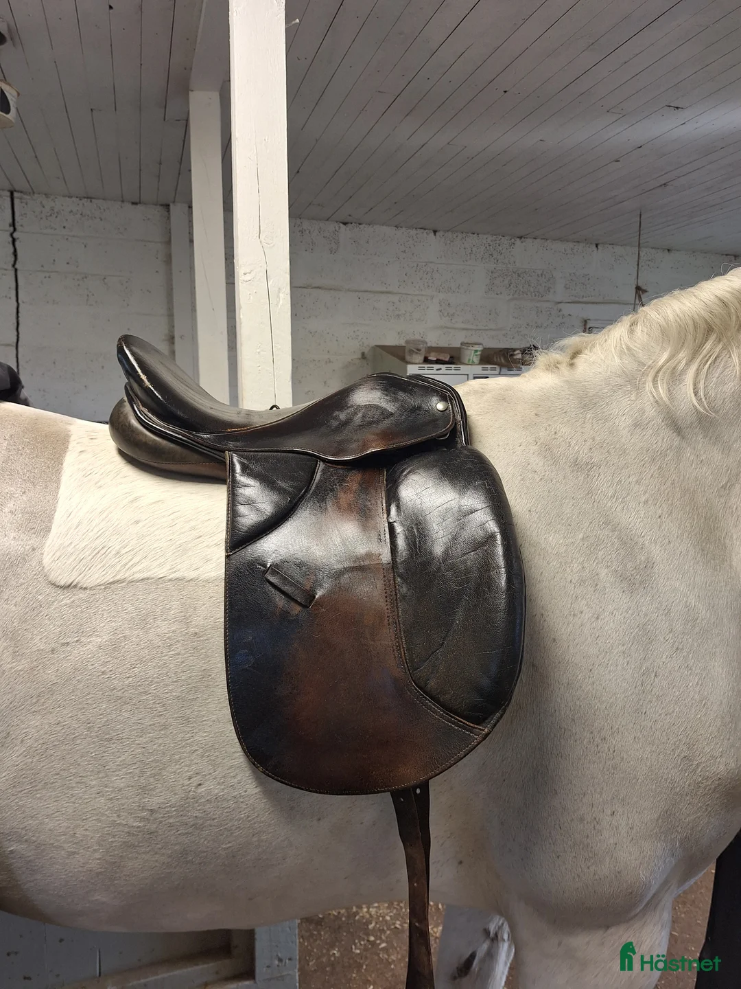 Sadlar hästutrustning till salu: Dressyrsadel till salu i Sturkö - Annons 6
